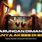 Lawan Petarung Liar: Mengenal Jenis Ayam Aduan Terkuat di SV388