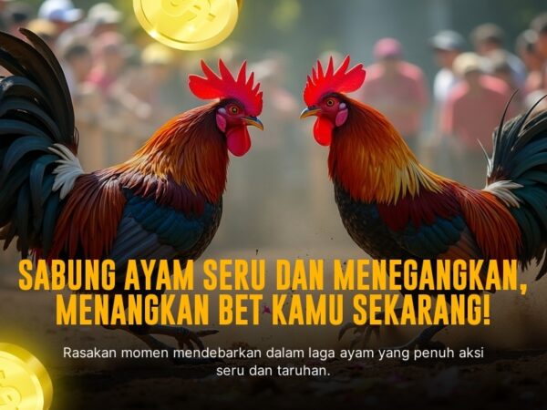 Rahasia Taruhan Sabung Ayam SV388: Kenali Jenis Ayam dan Odds Terbaik