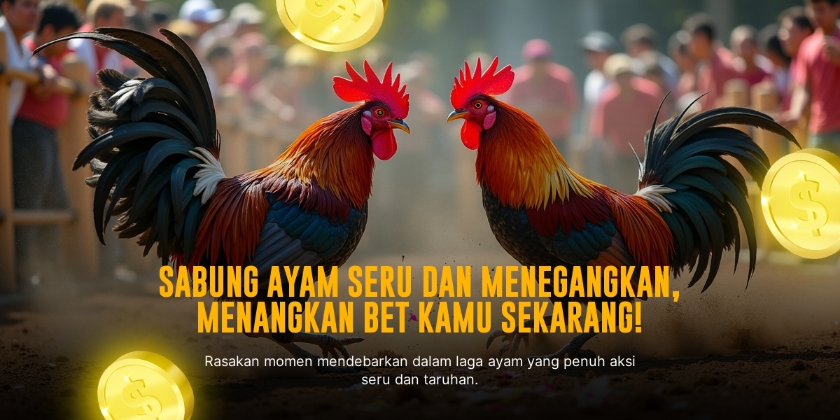 Rahasia Taruhan Sabung Ayam SV388: Kenali Jenis Ayam dan Odds Terbaik