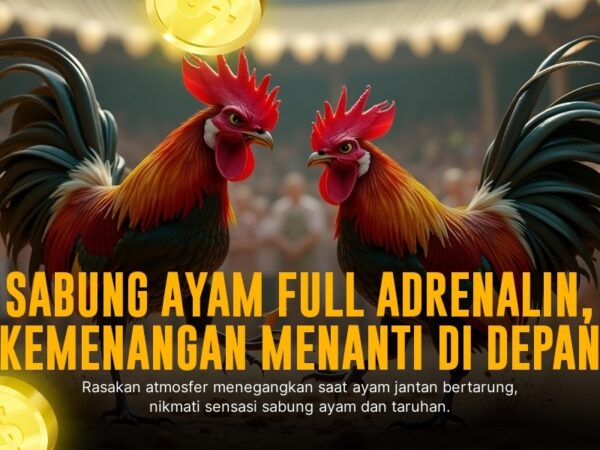 Mengenal Jenis Ayam Laga SV388: Kunci Sabung Ayam Online Sukses