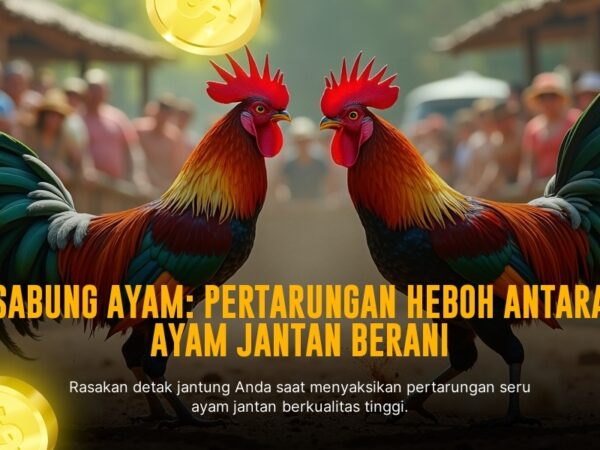 Sabung Ayam SV388: Jenis, Odds, dan Keunggulannya
