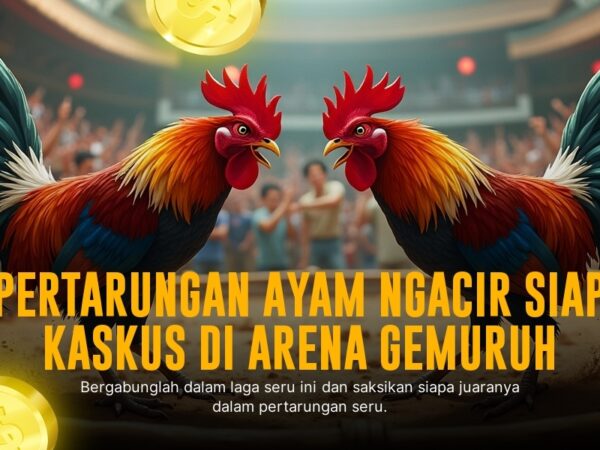 Mengenal Jenis Ayam Aduan dan Odds di SV388 Sabung Ayam