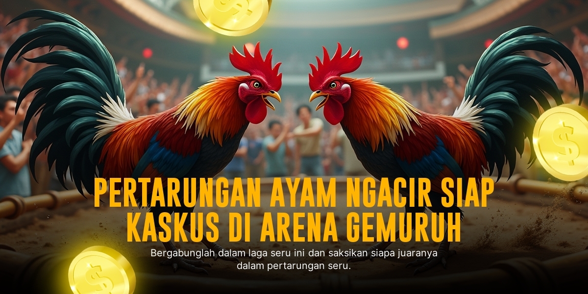 Mengenal Jenis Ayam Aduan dan Odds di SV388 Sabung Ayam