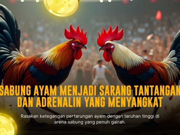 Rahasia Sabung Ayam SV388: Jenis Ayam, Odds, dan Provider Terpercaya