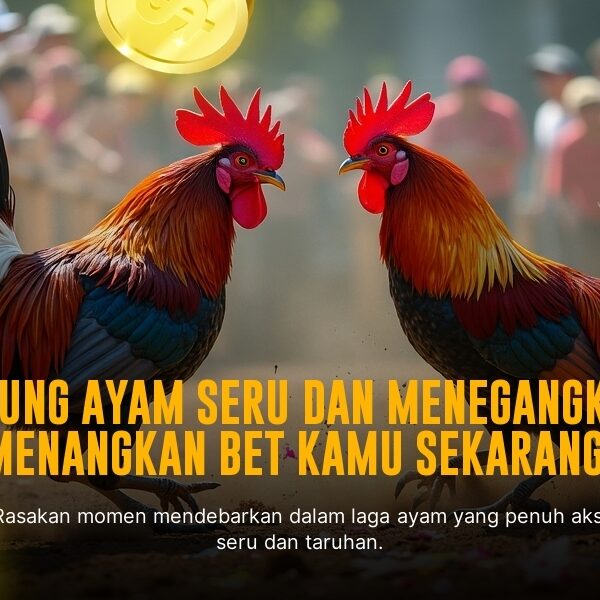 Rahasia Taruhan Sabung Ayam SV388: Kenali Jenis Ayam dan Odds Terbaik