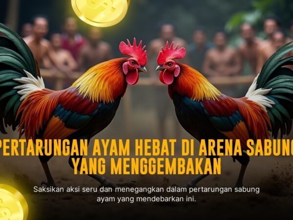 Menguak Keunikan Ayam Bangkok dalam Sabung Ayam SV388