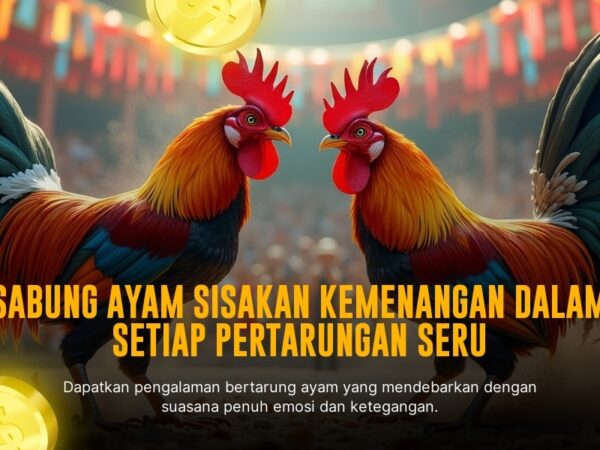 Rahasia Odds Terbaik pada Sabung Ayam SV388 yang Perlu Kamu Tahu