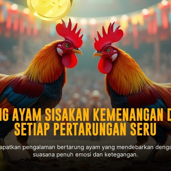 Rahasia Odds Terbaik pada Sabung Ayam SV388 yang Perlu Kamu Tahu