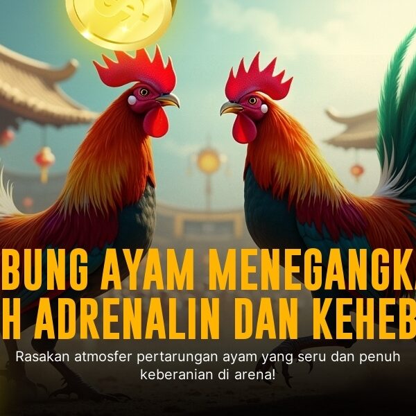Mengulik Sabung Ayam SV388: Jenis Ayam, Odds, dan Keunggulannya