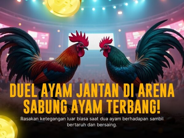 Mengulik Jenis Ayam Aduan dan Odds di SV388 Sabung Ayam Online