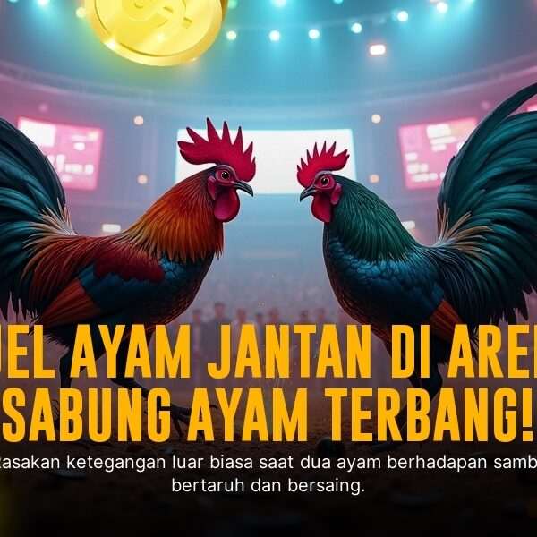 Mengulik Jenis Ayam Aduan dan Odds di SV388 Sabung Ayam Online