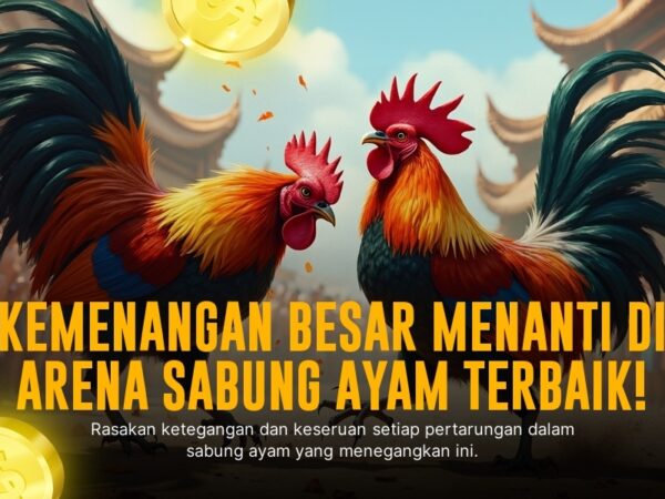 Mengenal Jenis Ayam Aduan Terbaik di SV388 Sabung Ayam