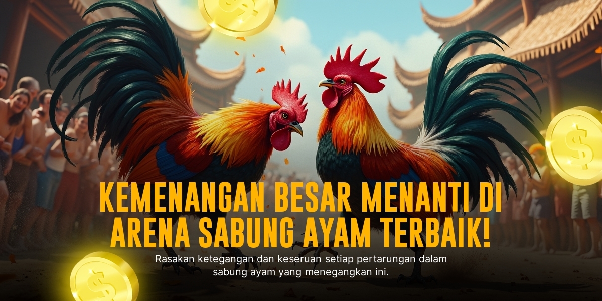 Mengenal Jenis Ayam Aduan Terbaik di SV388 Sabung Ayam